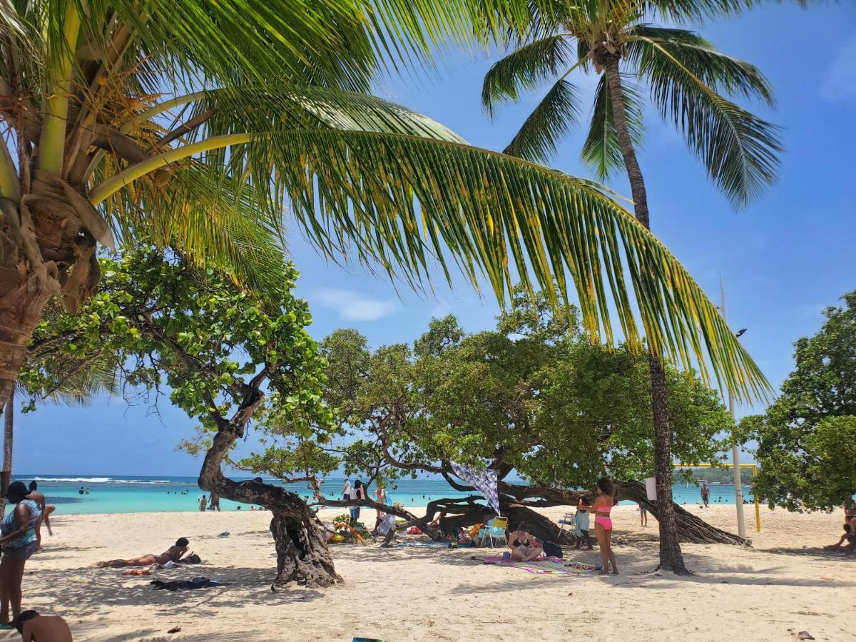 Villa L'Anjou Creole A Sainte Anne En Guadeloupe Avec Piscine Privee Et 2 Chambres Pour 4 Personnes Экстерьер фото