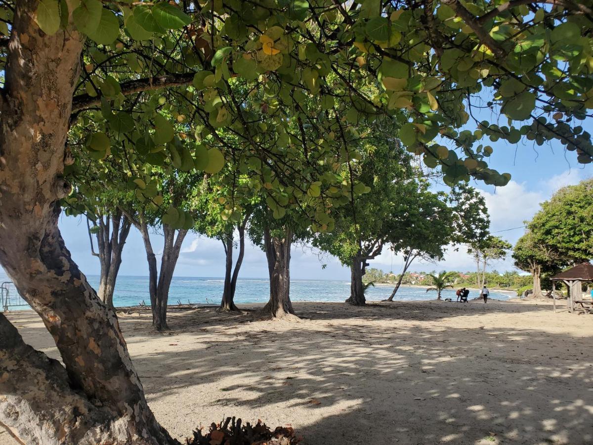 Villa L'Anjou Creole A Sainte Anne En Guadeloupe Avec Piscine Privee Et 2 Chambres Pour 4 Personnes Экстерьер фото