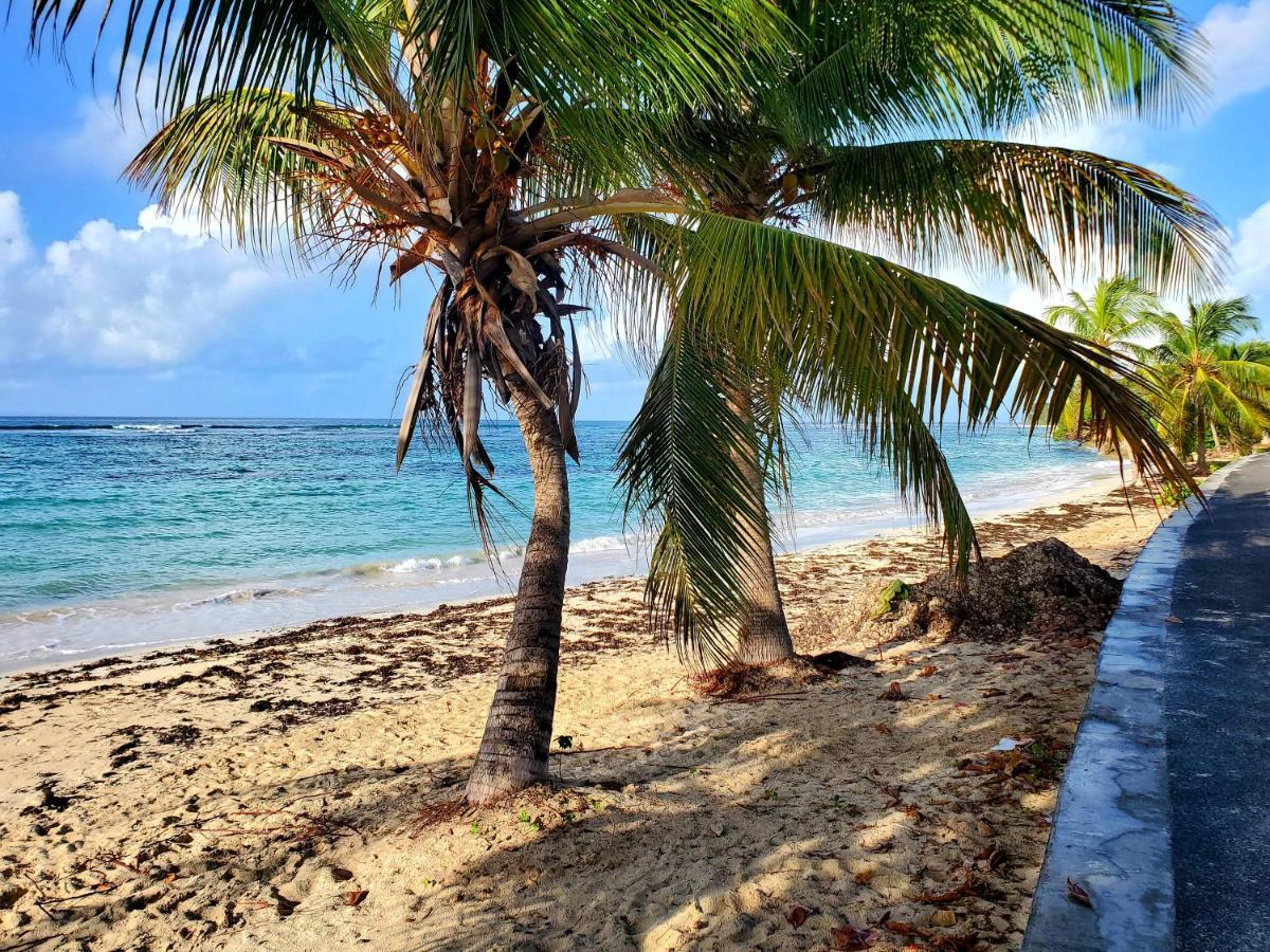 Villa L'Anjou Creole A Sainte Anne En Guadeloupe Avec Piscine Privee Et 2 Chambres Pour 4 Personnes Экстерьер фото