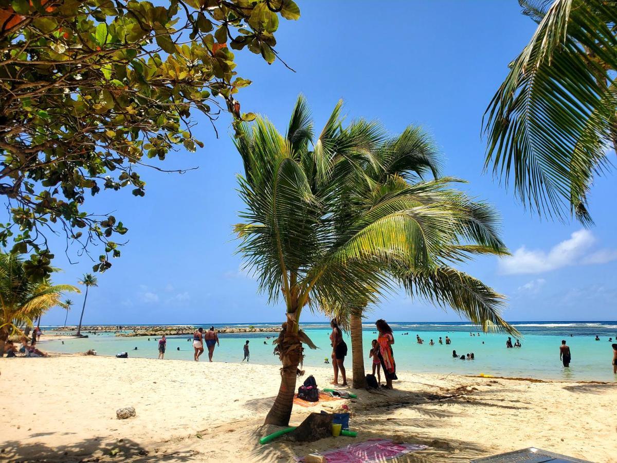 Villa L'Anjou Creole A Sainte Anne En Guadeloupe Avec Piscine Privee Et 2 Chambres Pour 4 Personnes Экстерьер фото