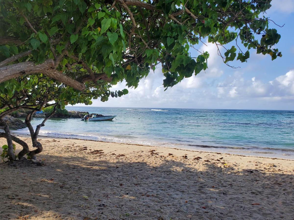 Villa L'Anjou Creole A Sainte Anne En Guadeloupe Avec Piscine Privee Et 2 Chambres Pour 4 Personnes Экстерьер фото