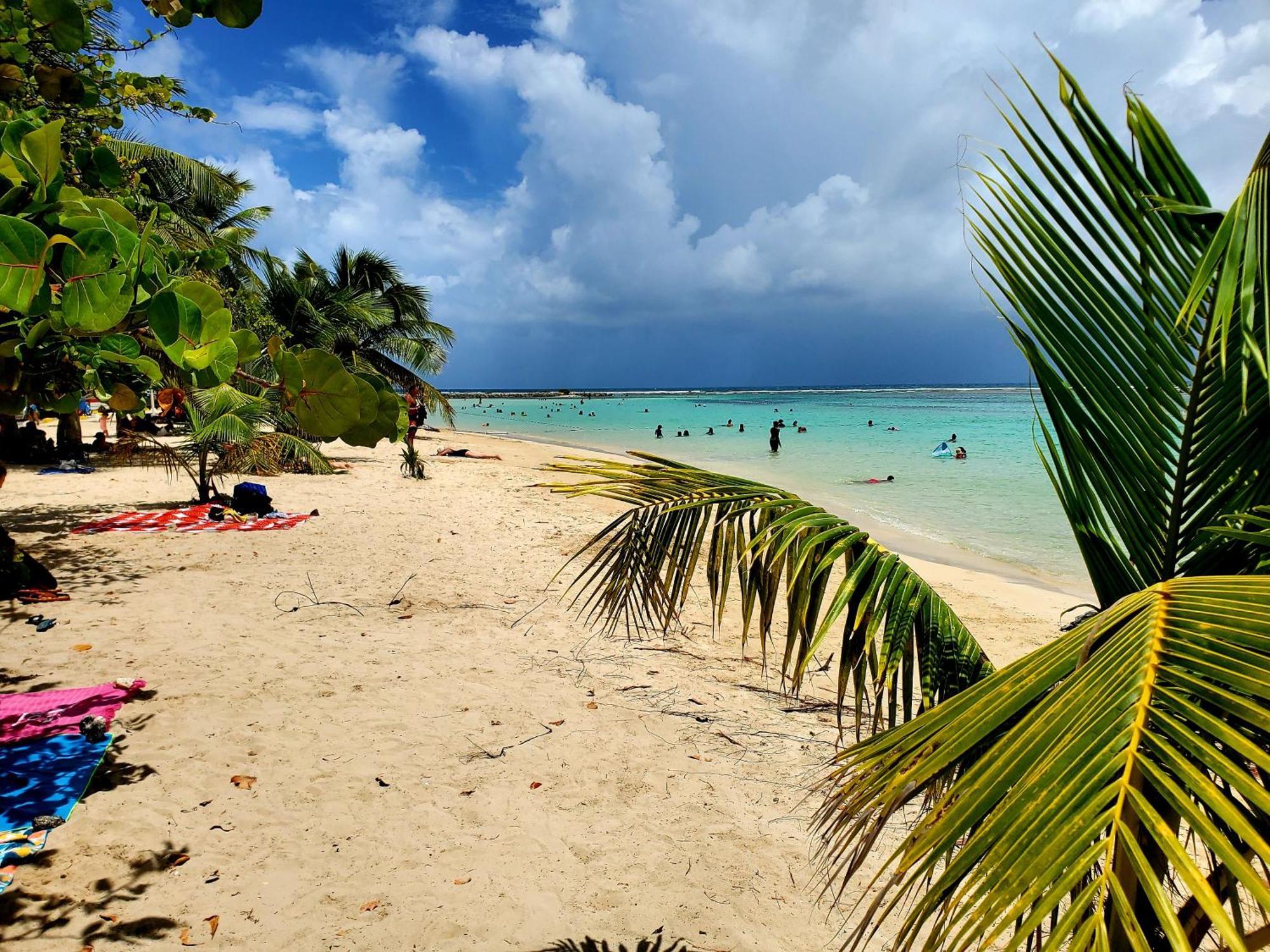 Villa L'Anjou Creole A Sainte Anne En Guadeloupe Avec Piscine Privee Et 2 Chambres Pour 4 Personnes Экстерьер фото