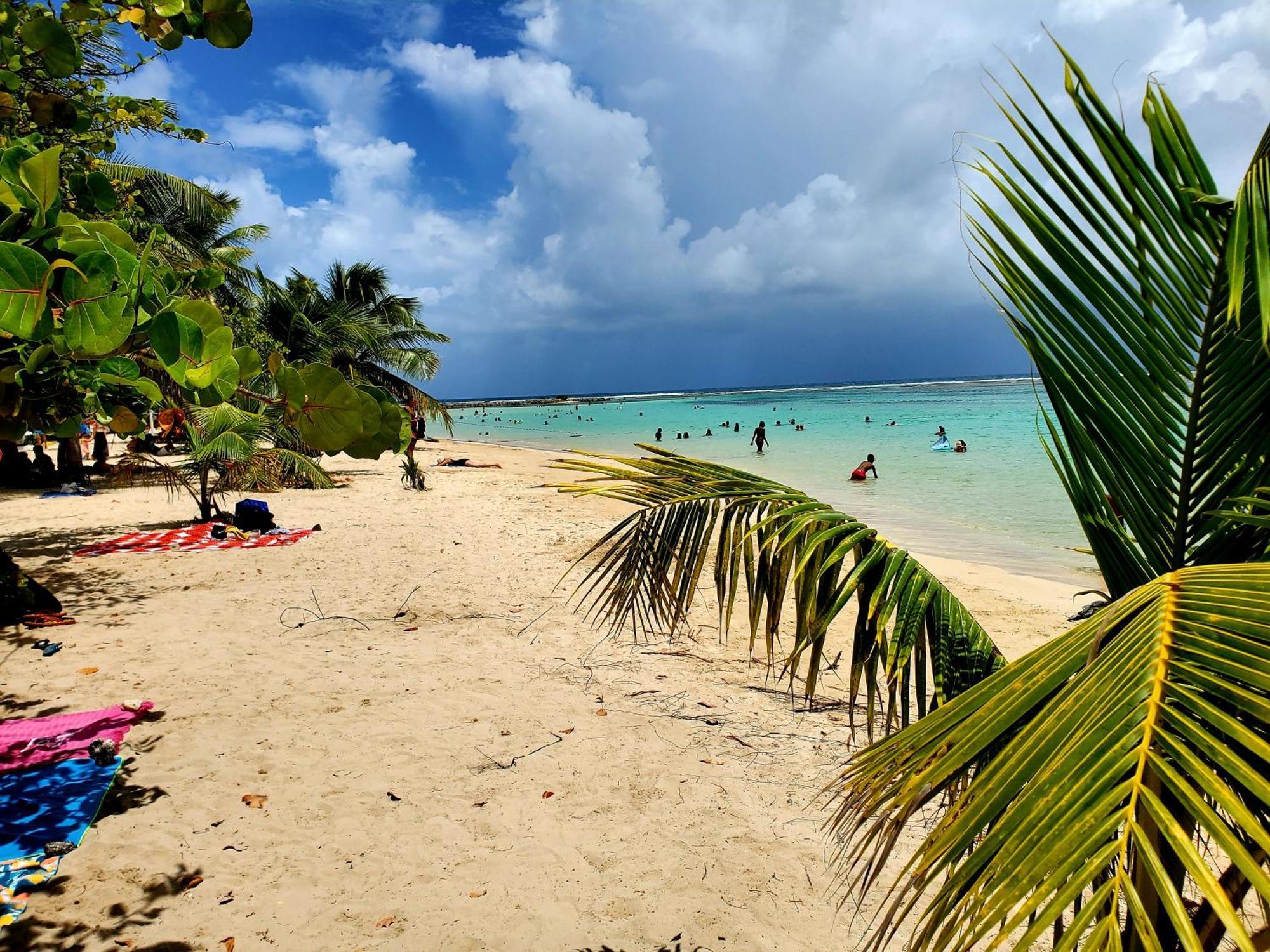 Villa L'Anjou Creole A Sainte Anne En Guadeloupe Avec Piscine Privee Et 2 Chambres Pour 4 Personnes Экстерьер фото